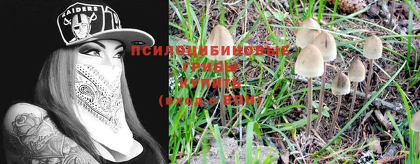 spice Бугульма