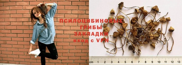 spice Бугульма