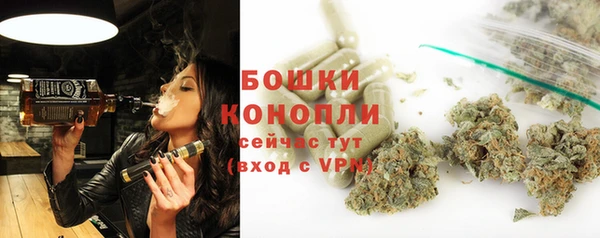 spice Бугульма