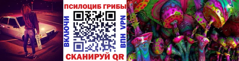купить закладку  Любим  Псилоцибиновые грибы MAGIC MUSHROOMS 